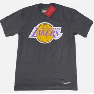 Mitchell & Ness Los Angeles Lakers T Shirt Mens Large Gray New Basic Logo